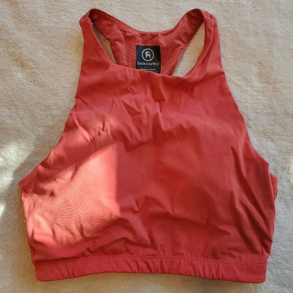 Backcountry Mesh Back Bra Top